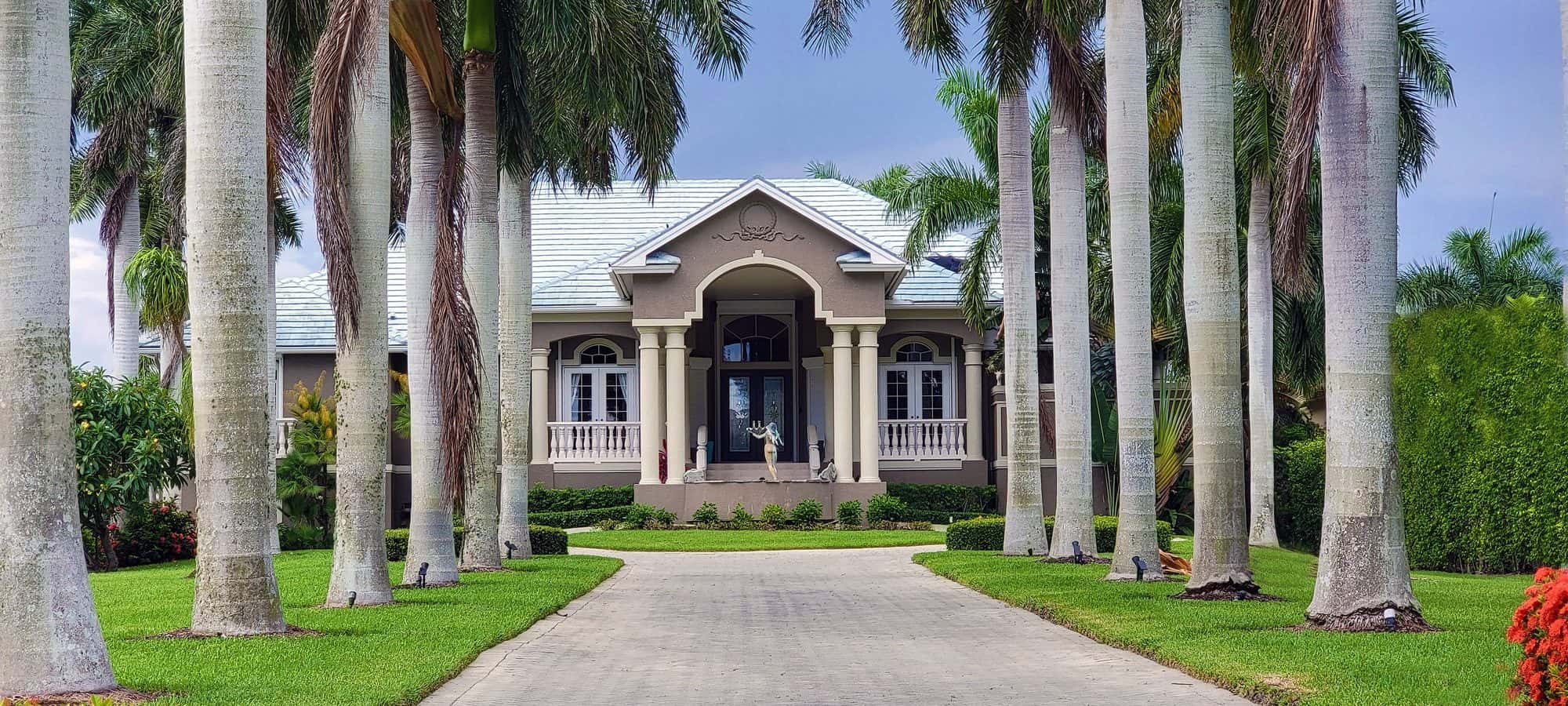 Palm-lined driveway leading to a Southern California home