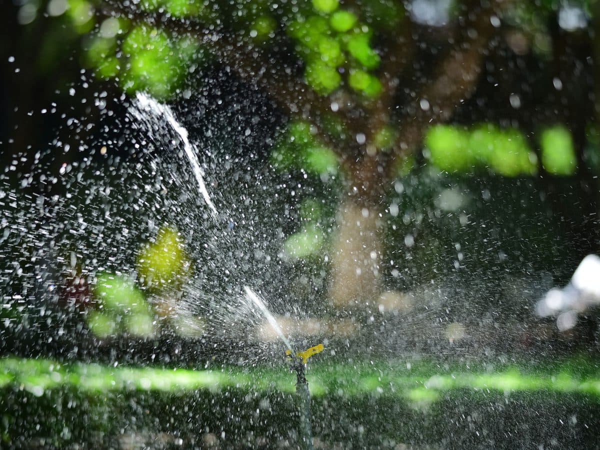 Sprinkler spraying an arc of water across a sunlit green lawn