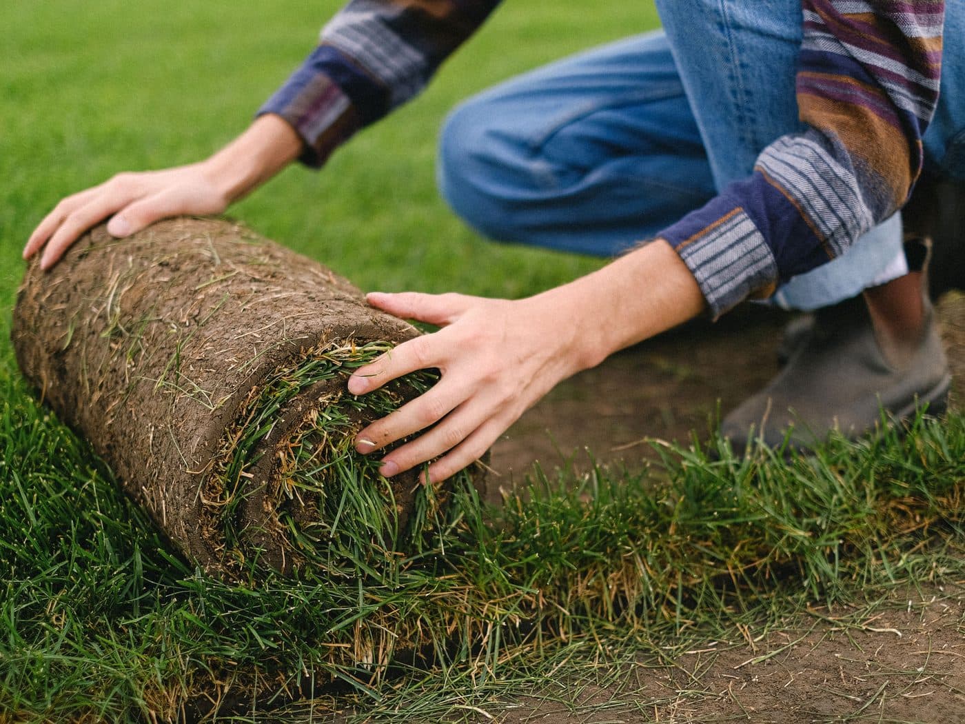 Laying a roll of sod during a lawn installation