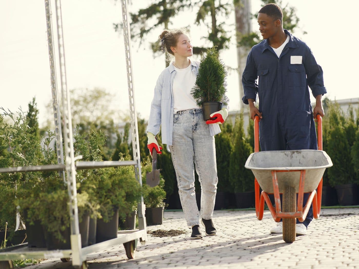 Two Coastal Sage crew members working together in a garden with a wheelbarrow